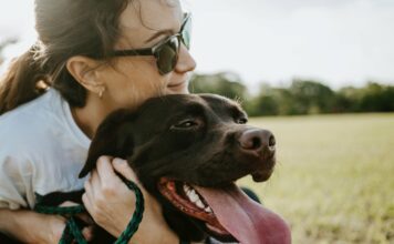 Tips & Tricks on Flea & Tick Prevention