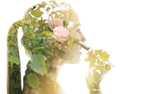 Sustainable Beauty – A New Era for the Conscious Consumer